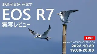（キヤノンフォトハウス）野鳥写真家 戸塚学 EOS R7実写レビュー 【キヤノン公式】