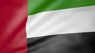 UAE Flag Action Impact