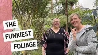 A Kiwi’s Take on New Zealand’s Funkiest Native Plants 🌿🇳🇿