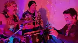 PETER HEALY RHYTHM RIDERS Inadequate Mango