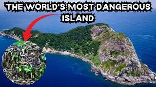 Brazil's Snake Island   The Most Terrifying Place on Earth