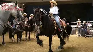 Gina Bandak muy pronto en La Feria Del Caballo Espa&ntilde;ol
