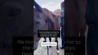 How devastating and heartless to let her suffer like this... #rescueme #horse #horserescue #animals
