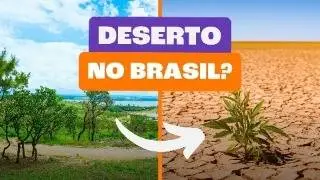 Descubra os Impactos da Deserfitica&ccedil;&atilde;o no Brasil!