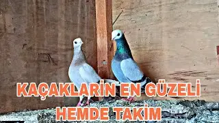KAÇAKLARİN EN GÜZELİNİ YAKALADAİM HEMDE TAKİM OLARAK