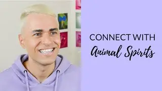 Spirit Animal Meanings 🦉 | Find Your Animal Spirit Guide