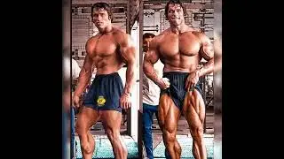 #arnoldschwarzenegger#beast #boss#bodybuilding #hardwork #gymmotivation#bodybuildingnation#training