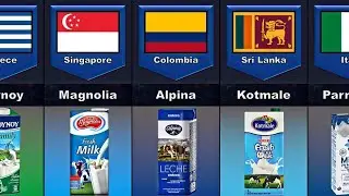 Milk Brand from Different Countries / Milk Brands of Each Country -  Comparison Result