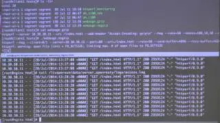 Data Compression in Modern Application [Hebrew]