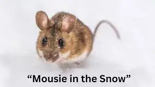 Mousie in the Snow