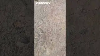 #discovery #archaeology #prehistoric #india #cupmarks #cuplus #viral #trending #shortsfeed #shorts
