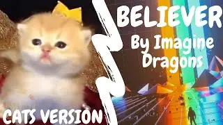 Imagine Dragons - Believer - Cat Cover