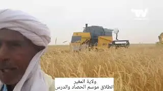 #المغير: انطلاق موسم الحصاد والدرس 2023 من مستثمرة فلاحية بسطيل..شاهد خيرات ربي