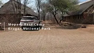 Mopani Rest Camp (4K), Kruger National Park, South Africa