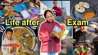 Finally Exam Over 😭✨| Life After Exams Vlog | Cleaning ,Project & Birthday 🎁 || Anushka Bhatt