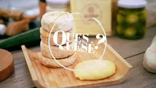 NEXO QUESQUESE 1