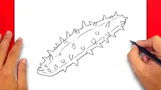 How to draw Sea Cucumber Easy
