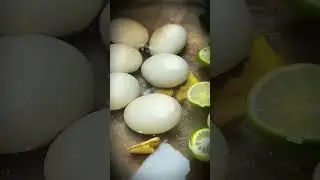 Baby duck eggs with pepper sauce