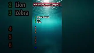 10 Animal Quiz Questions You Can't Answer! 🐾 | Fun Animal Trivia