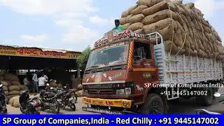 Guntur Mirchi / Red Chilly Wholesale Market English / SP Group Of Companies