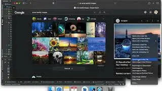 Display image in flutter app #viralvideo #assetimage #flutterdev