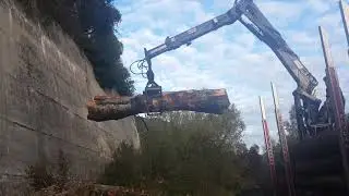 DORIGUZZI HOLZTRANSPORT- SISU HOLZTRANSPORT
