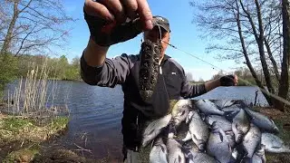 Рыбалка на фидер КЛЮНЕТ ТРОФЕЙ если КОРМУШКИ  FAST RIVER висят на ней. Фидерные кормушки- пуля.