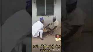 Top funny new video,New collection 2022#mifacts