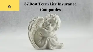 37 Best Term Life Insurance Companies
