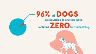 Pupford Dog Training App - How to Train Your Dog Like a Pro