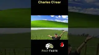 Capturing Bliss: The Man Behind Windows XP's Iconic Wallpaper 📷🌄 #facts #amazing #viral #shorts