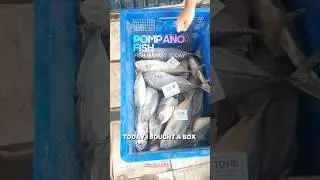 Top Quality Pompano Fish Basket at Fish Market! 🐟💼 #SeafoodBusiness #SupplyChainSuccess