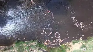 4K Drone Bright Victoria and Blue Rag track