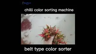 belt color sorting machine for chilli processing machinery