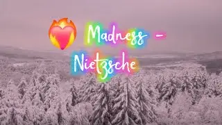 Nietzsche : A Thought About Love, Madness & Vulnerability 