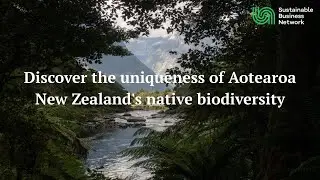 Discover the uniqueness of Aotearoa New Zealand's native biodiversity