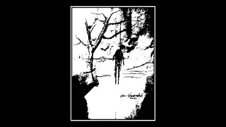 Apokalyptic Raids - O Imperador Nada (lyric video)