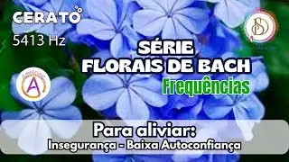 CERATO - FLORAIS DE BACH - Alivio p Inseguran&ccedil;a. baixa autoconfian&ccedil;a.