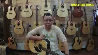Introducing Sigma Guitars