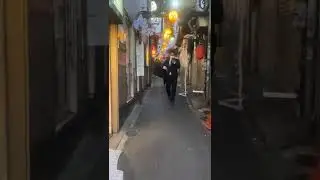 Omoide Yokocho (memory lane). Shinjuku&rsquo;s famous drinking alley.