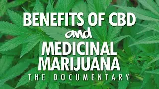 Benefits of CBD and How Medicinal Marijuana Can Help You