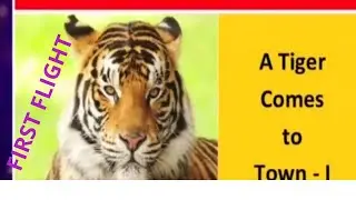 A Tiger comes to Town #class10 first flight