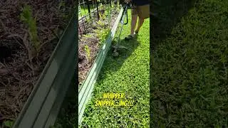 The ULTIMATE garden power tool! 😁😁😁 #whippersnipper #gardening #powertool #asmr
