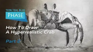 Draw A Hyperrealistic Crab part2 ㊣ ▶skill sharing tutorial practice fine arts 畫超寫實螃蟹 素描 教程