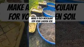 Make A Rich Inoculant For Your Garden Soil. Use Your Shredded Cardboard.  Got worms?#vermicompost