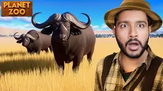 BRINGING THE AFRICAN BUFFALO TO OUR ZOO | PLANET ZOO #2