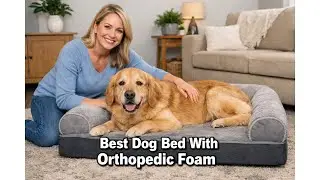 🐕 Sytopia XXL 35D Memory Foam Dog Bed Review &ndash; Is It Worth It for Large Dogs? Before You Buy 🐕