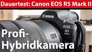 Dauer-Praxistest: Canon EOS R5 Mark II – Hybridkamera der Profiklasse