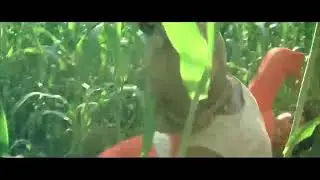 Chinese Classic Movies