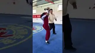 Kung Fu training #kongfu #karate #marshalart #viral #dubai #shortvideo #trending